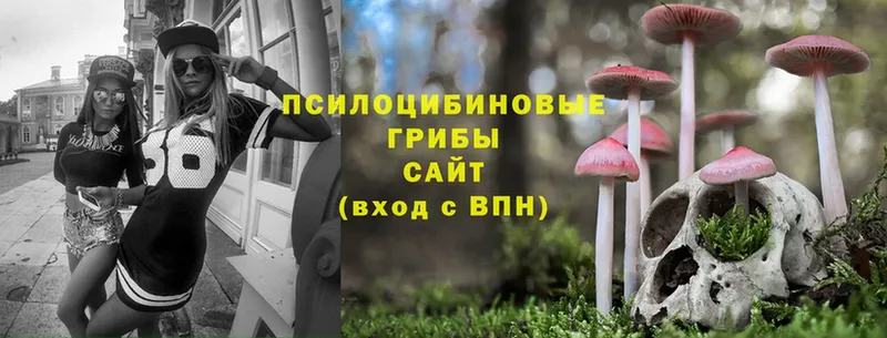 Псилоцибиновые грибы MAGIC MUSHROOMS  закладки  Лобня 