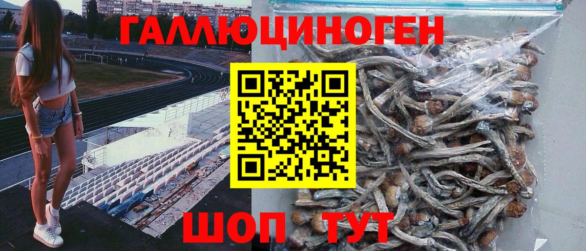 Псилоцибиновые грибы прущие грибы Лобня