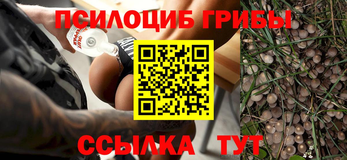 Псилоцибиновые грибы Magic Shrooms  купить наркоту  Вход с VPN  Лобня  Галлюциногенные грибы Psilocybine cubensis 